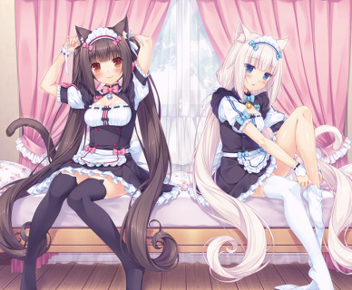 nekopara.jpg