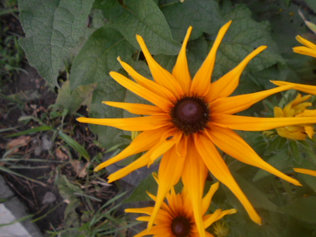 DSCN6786.JPG