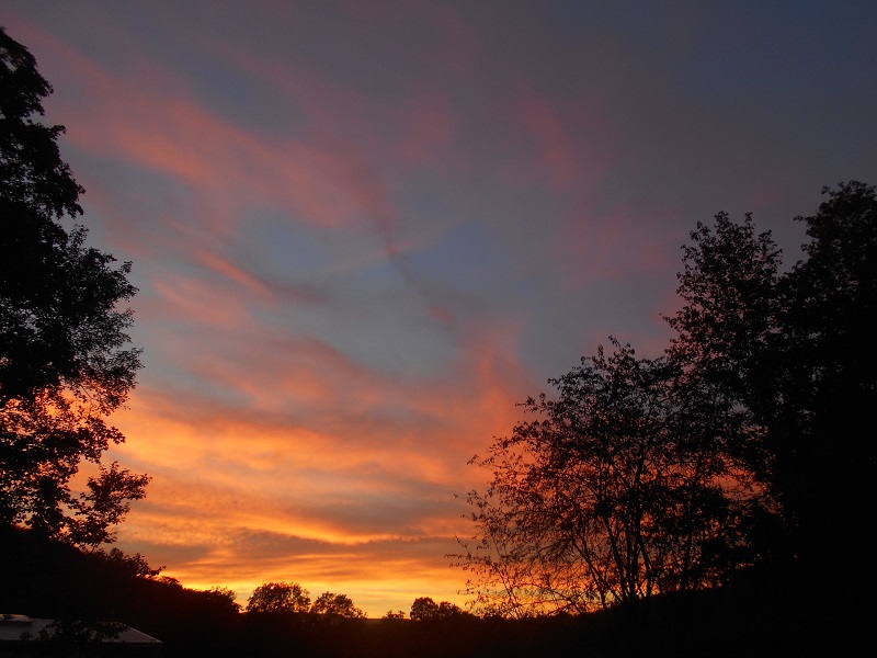 DSCN7372.JPG