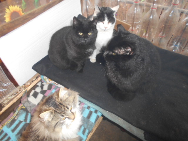 DSCN7941.JPG