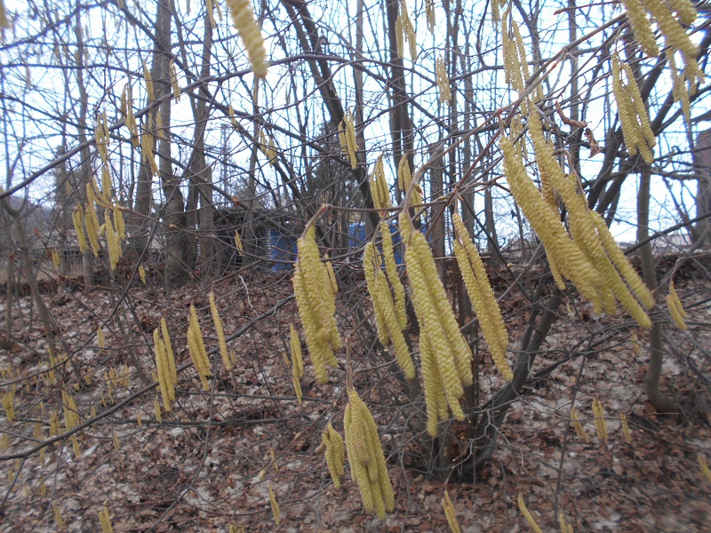 DSCN8388.JPG