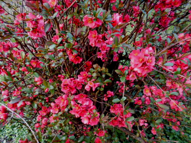 DSCN8712.JPG