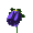 :flower2:
