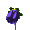 Kytička :flower2: