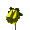Žlutá :yellowflower: